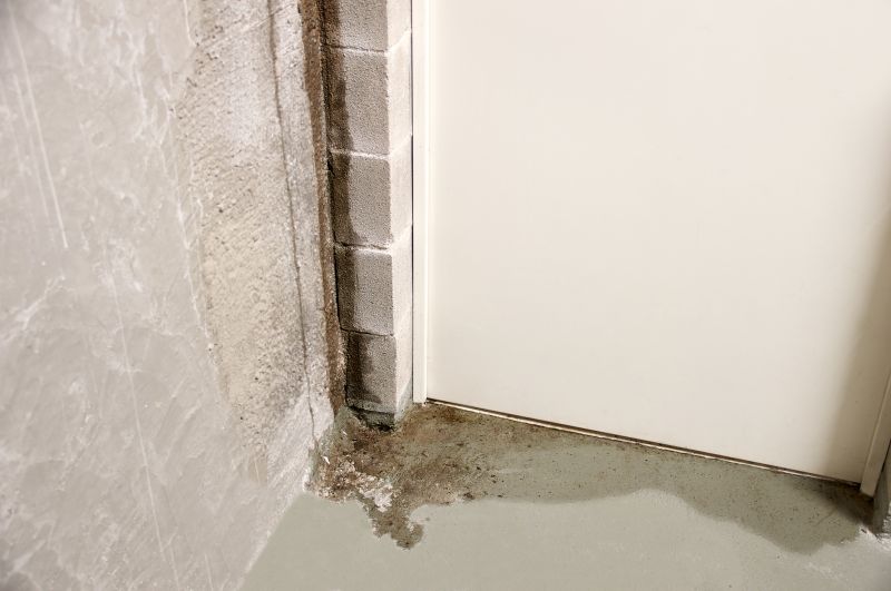 Basement Leak Repair in Montgomery, AL