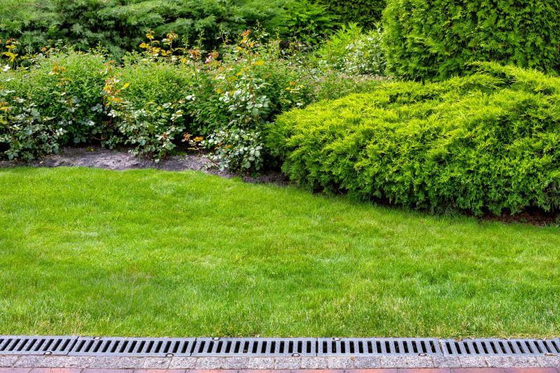 Landscape Drainage in Birmingham, AL