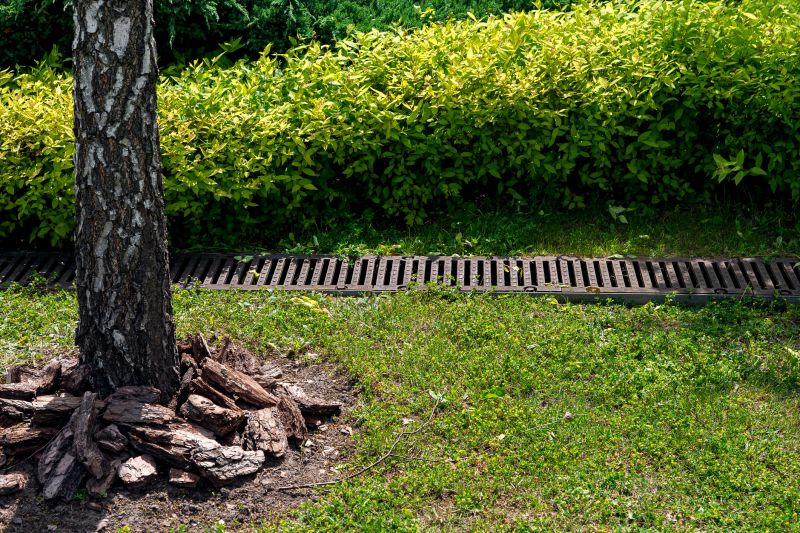 Muddy Yard Drainage in Birmingham, AL