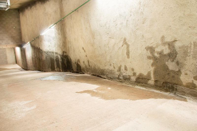Wet Basement Solutions in Sarasota, FL