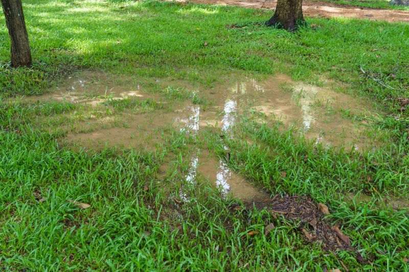 Wet Yard Drainage in Birmingham, AL